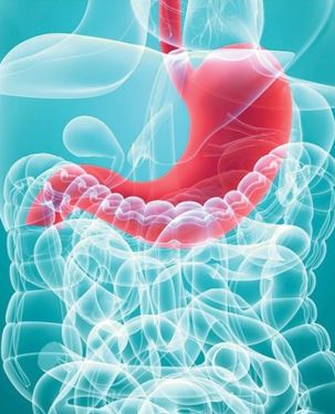 44th Annual Advances in Gastroenterology Banner